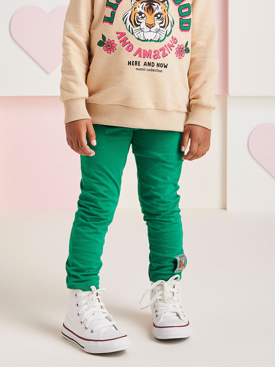 Conjunto Infantil Momi Inverno Legging Verde Moletom Tigre